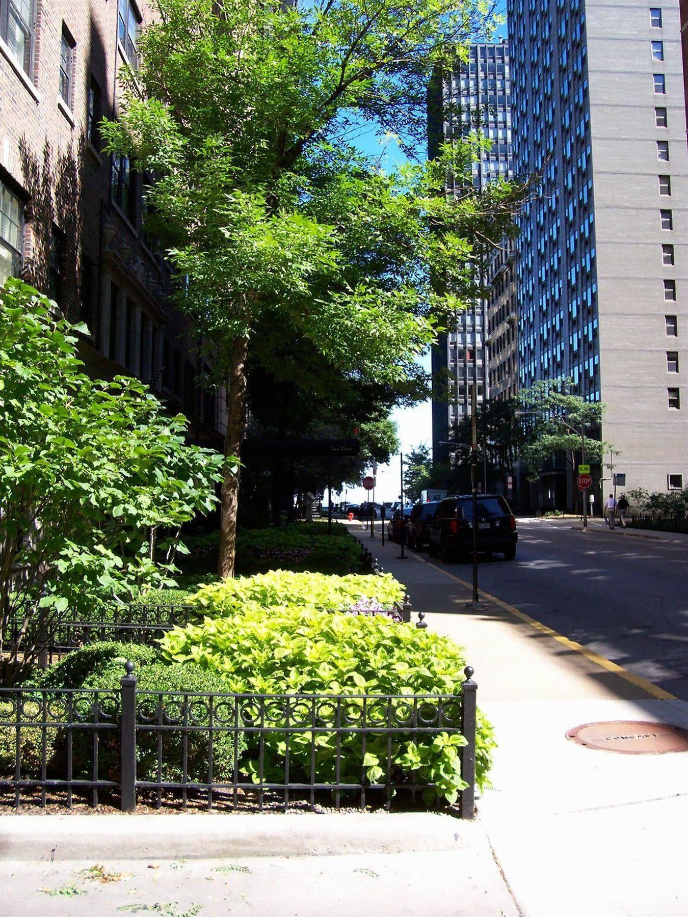 Dewitt Hotel And Suites Chicago Exterior foto
